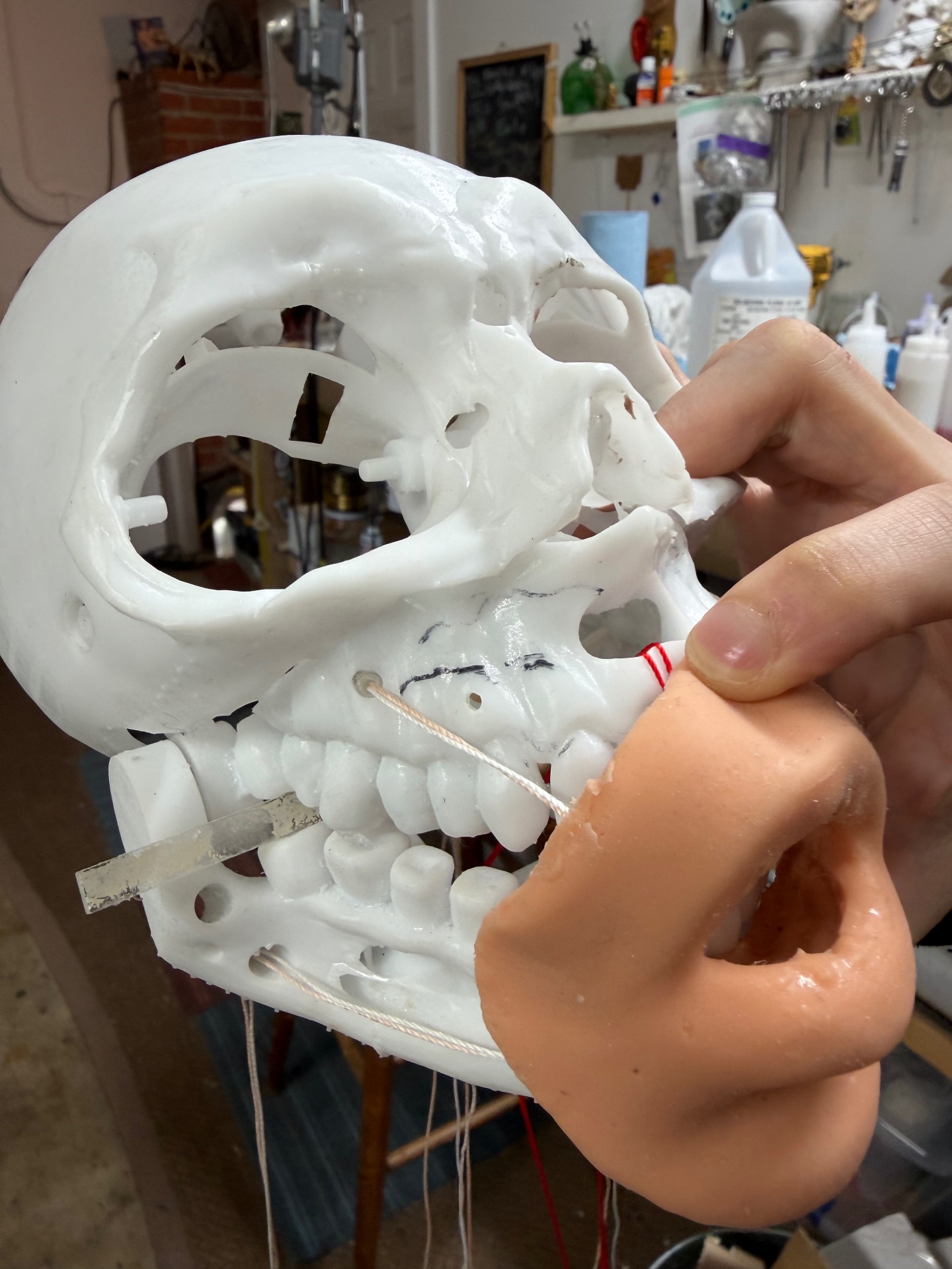 An animatronic head mechanism with hand-finished eyes
