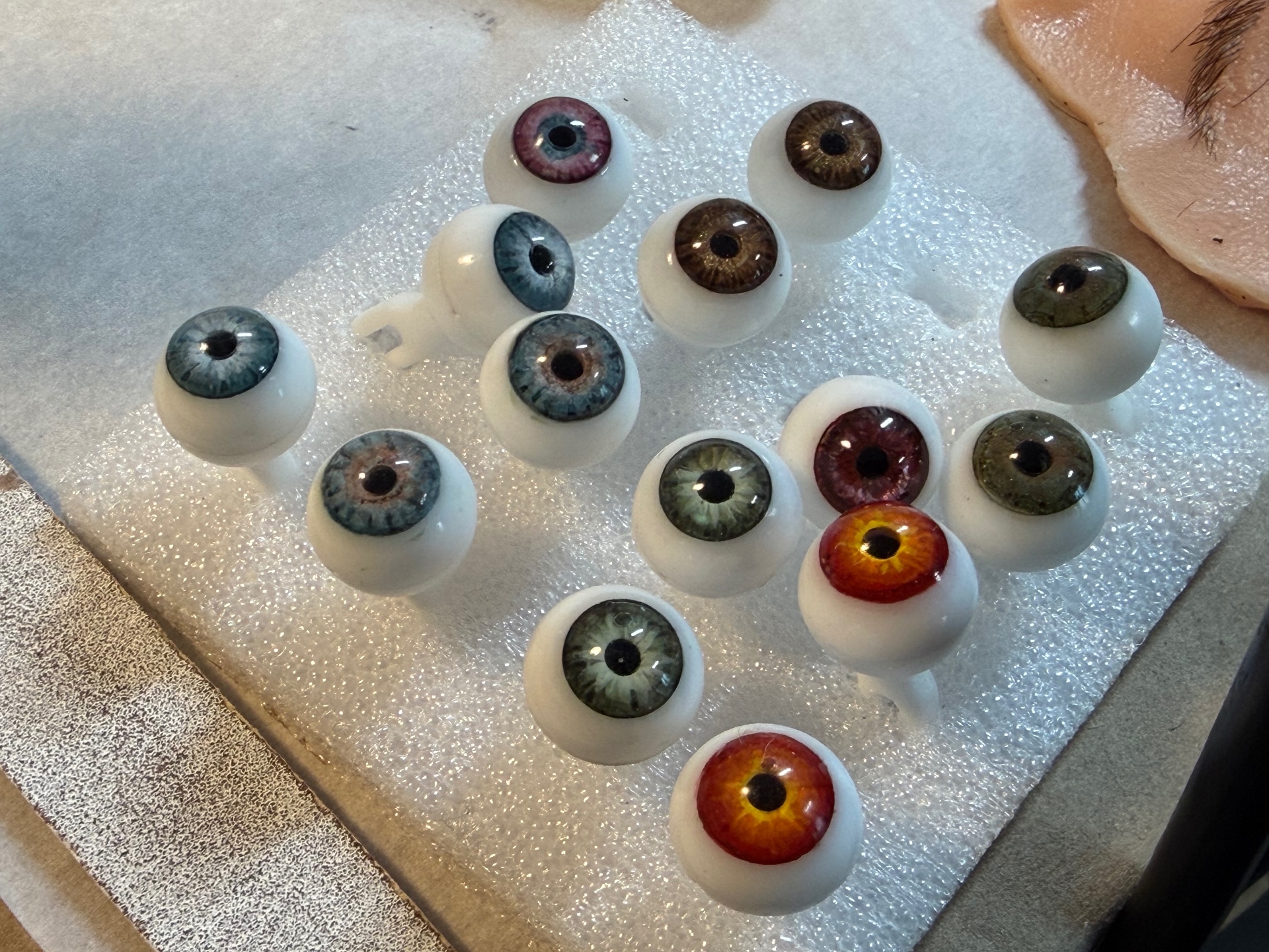 Detail from the Orbicularis studio